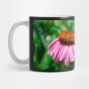 Echinacea Purpurea Mug